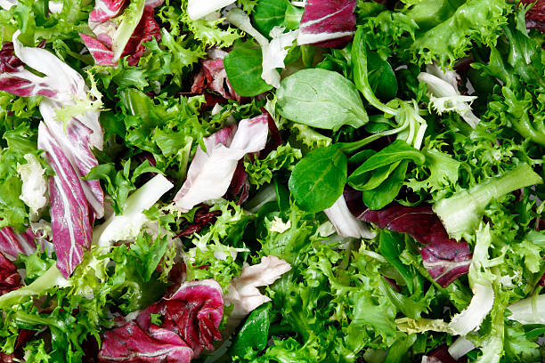 istock Mixed salad leaves  frisee, radicchio and lamb's lettuce. Background 509802588