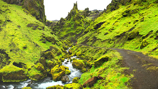 Iceland Craggy green mountains stock photo