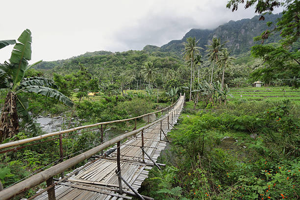 istock Tropical landscape in the way to Bajawa 509803297