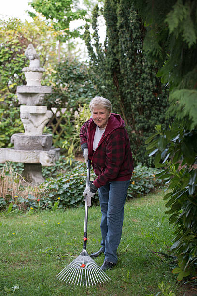 istock senior  woman gardening 509805156