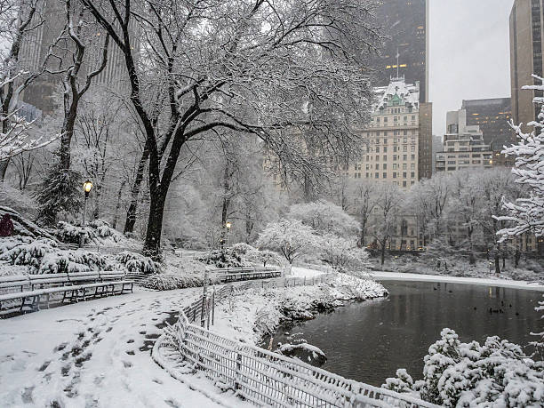 istock Central Park New York City, Manhattan during blizzard 509805182