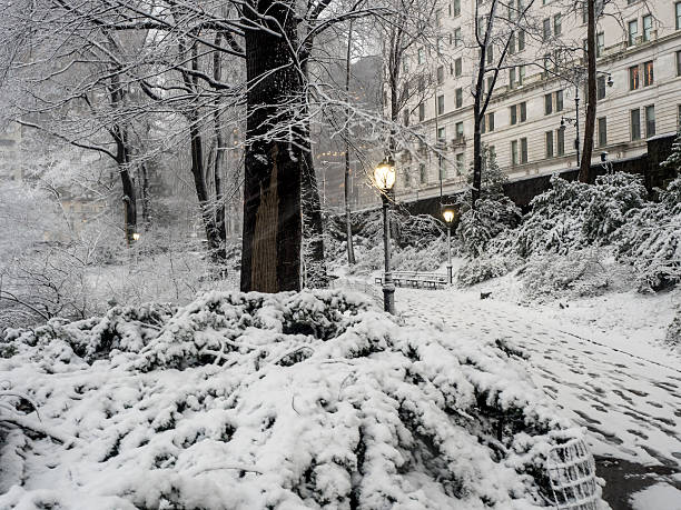 istock Central Park New York City, Manhattan during blizzard 509805196