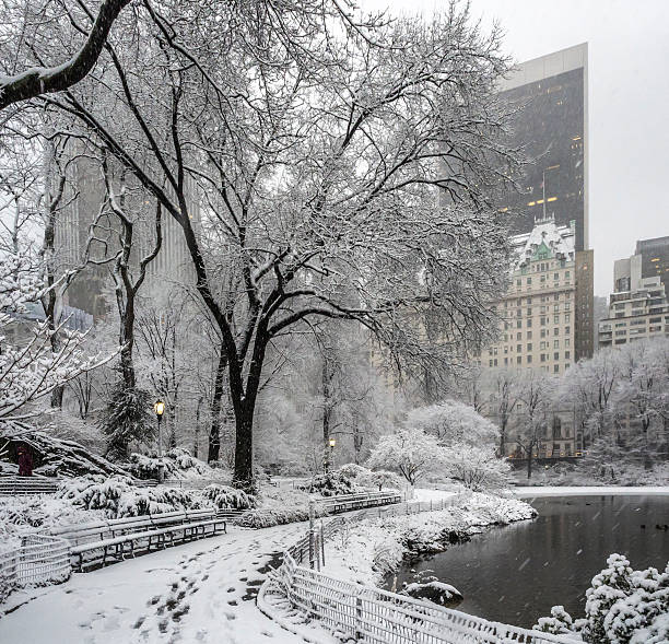 istock Central Park New York City, Manhattan during blizzard 509805258