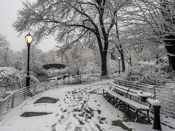 istock Central Park New York City, Manhattan during blizzard 509805268