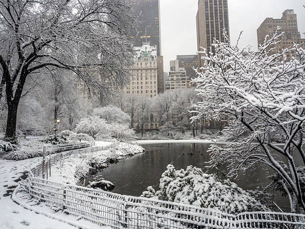 istock Central Park New York City, Manhattan during blizzard 509805420
