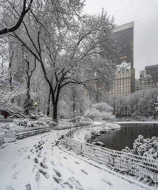 istock Central Park New York City, Manhattan during blizzard 509805502