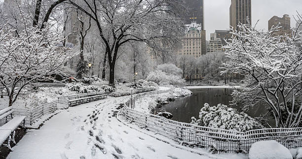 istock Central Park New York City, Manhattan during blizzard 509805554