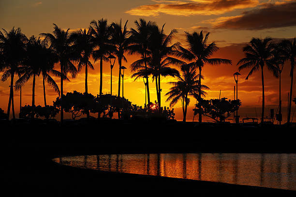 sunset over palm trees and Lagoon beach from Waikiki Beach, Honolulu, Oahu, Hawaii