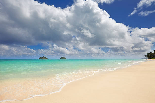istock Lanikai Beach and Mokulua Islands, O'ahu, Hawai'i 509805766