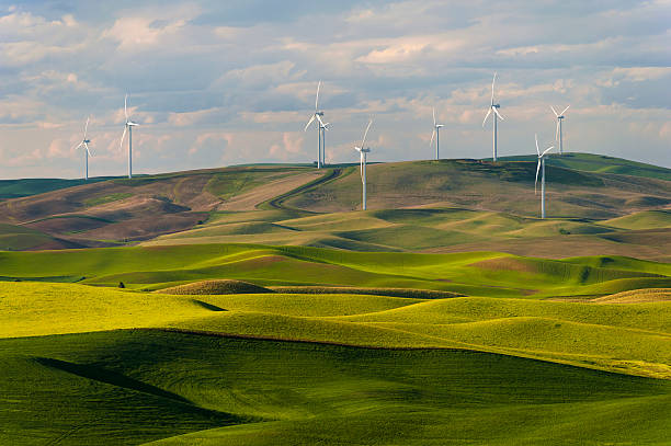 Wind Turbines Wind energy is becoming more noticeable in the Palouse area of eastern Washington. From this viewpoint at Steptoe Butte many wind farms are popping up in this windy area of the state. east stock pictures, royalty-free photos & images