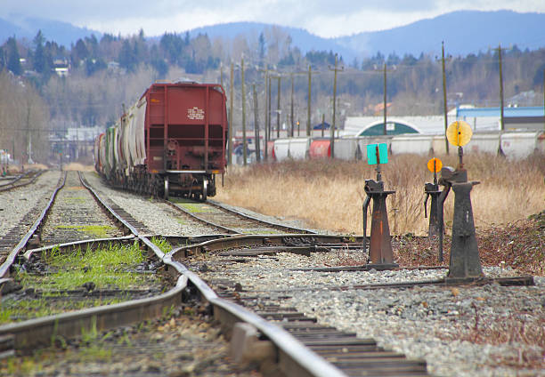 istock Various Railroad Track Switches 509806950