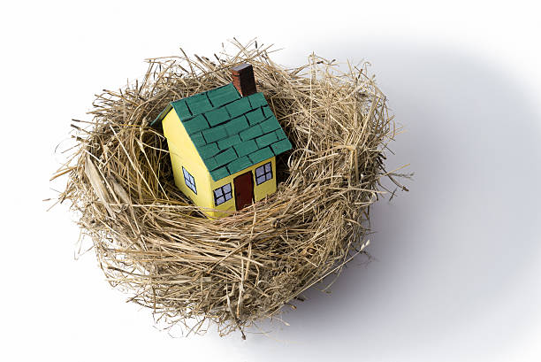 Home as Nest Egg Investment (Concept) stock photo