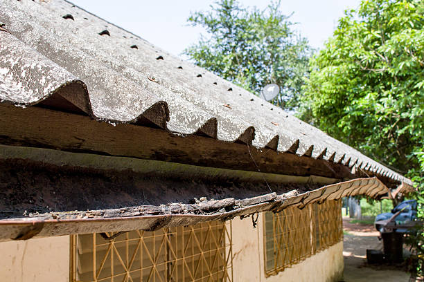 istock old roof and gutter rain, grunge architecture 509808576