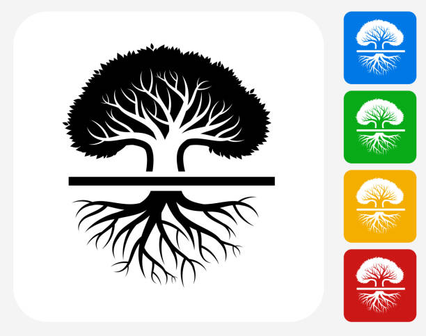 ツリーグラフィックデザインアイコンフラット - root origins growth plant点のイラスト素材／クリップアート素材／マンガ素材／アイコン素材