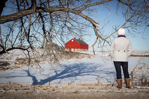 horizontal image of a woman standing with her back to camera gazing across the frozen lake at a bright red barn with a dead tree hanging over the lake in the winter time.