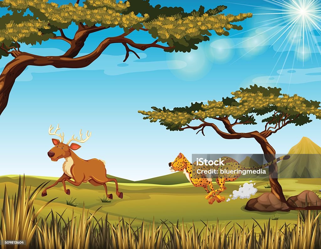 Tiger chasing a deer in the field Cheethah chasing a deer in the field  illustration Animal stock vector