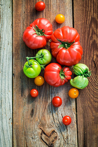 istock Ripe tomatoes in the countryside 509815164