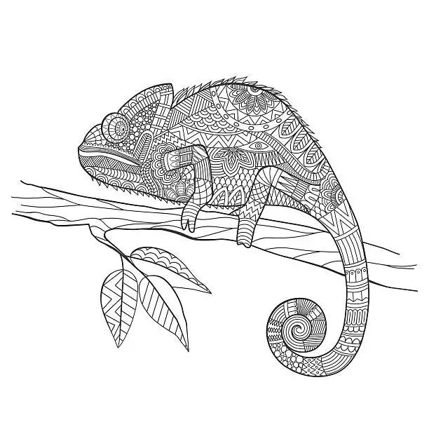 Vector illustration of stylized Chameleon lizard. Hand Drawn vector illustrat