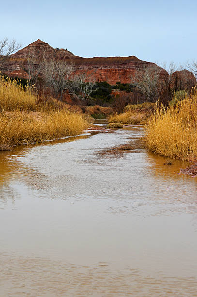 rio no parque estadual palo duro canyon, texas - capitol - fotografias e filmes do acervo