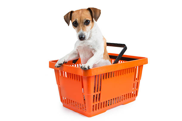 istock Shopping Cart pet 509822815