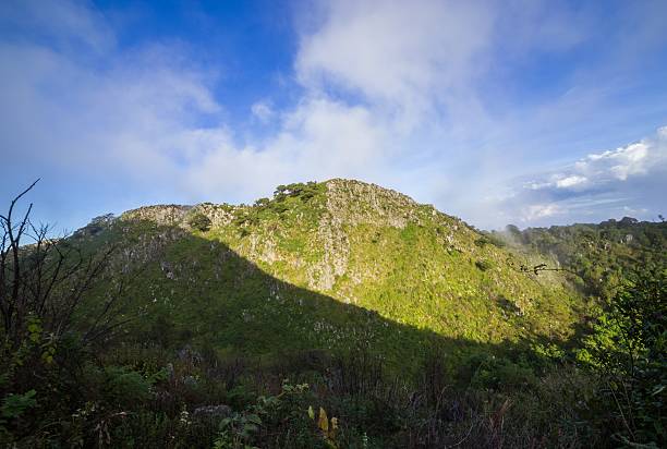 istock Morning Mist at Tropical Rain forest 509823133