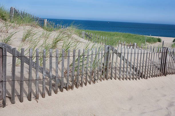 istock Race Point, Provincetown, MA 509827711