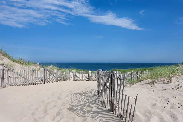 istock Race Point, Provincetown, MA 509827713