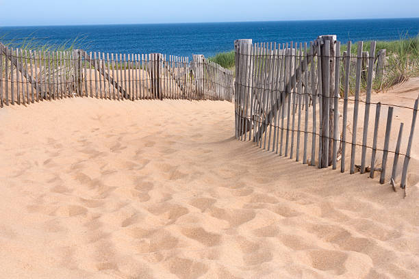 istock Race Point, Provincetown, MA 509827715