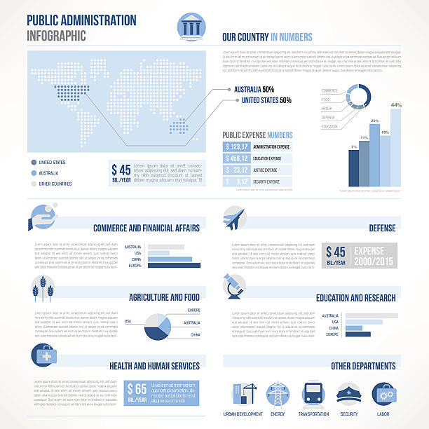 öffentliche verwaltung infografiken - militär grafiken stock-grafiken, -clipart, -cartoons und -symbole