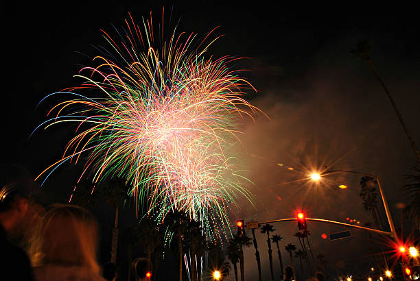 istock People, Palm Trees, And A Fireworks Show 509842766