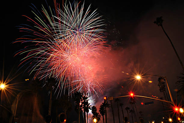 istock Fireworks Show With Palm Trees And People 509842872