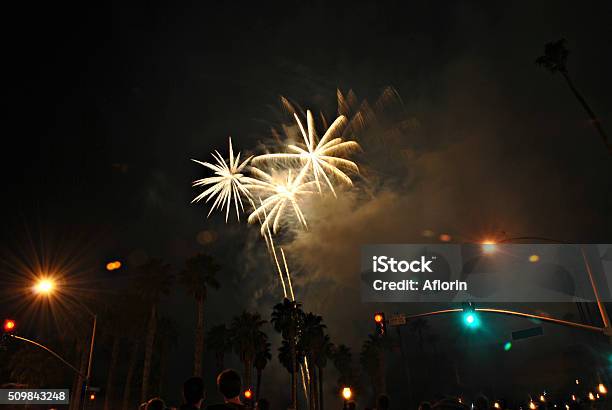 Fireworks Show With Palm Trees Stock Photo - Download Image Now - 12 O'Clock, Adult, Arts Culture and Entertainment