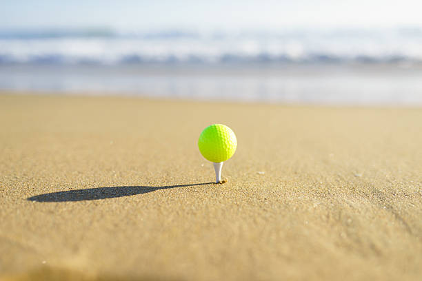 istock Golf Ball at a California beach in Pacific Ocean 509843396