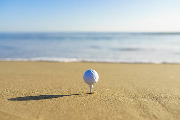 istock Golf Ball at a California beach in Pacific Ocean 509843506