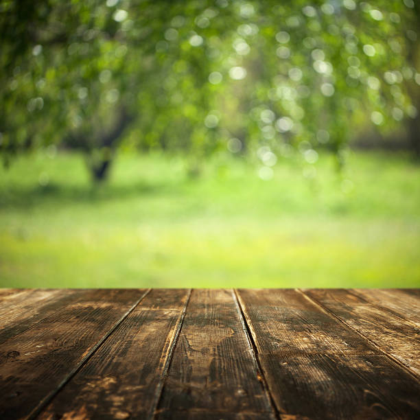 istock Hardwood floor and defocused summer landscape on background 509844892