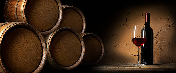 istock Merlot near wall 509851716