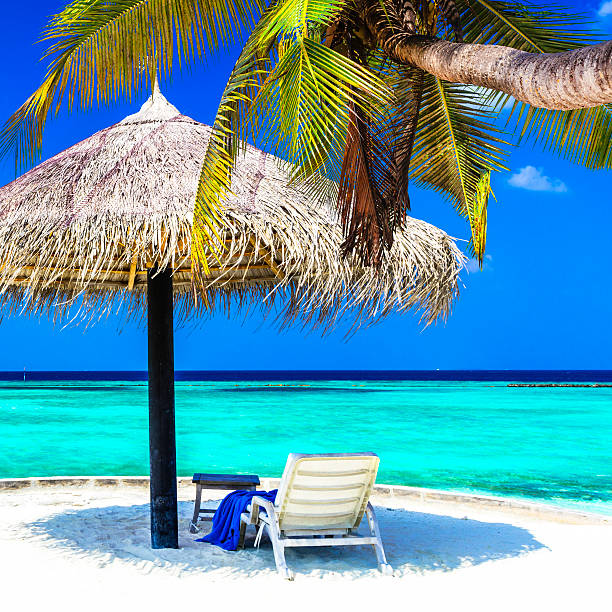 Parasols on a beach in Thailand. This picture highlights the relaxed and festive atmosphere of Thai beaches, a visual treat of tropical leisure.