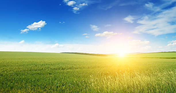 istock Beautiful sunset on green field 509855074