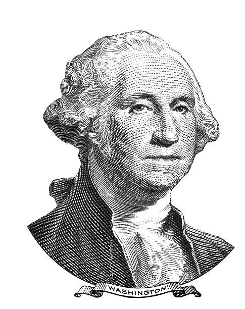 Portrait of George Washington Portrait of George Washington isolated on white background president illustrations stock illustrations