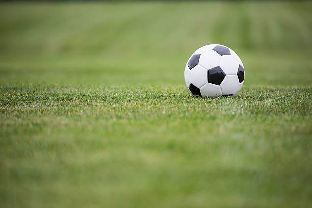 istock Soccer ball on field 509859937