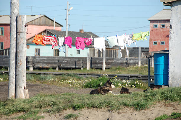 istock Dog under clothes drying on line 509861462