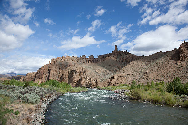 shoshone river - shoshone river zdjęcia i obrazy z banku zdjęć