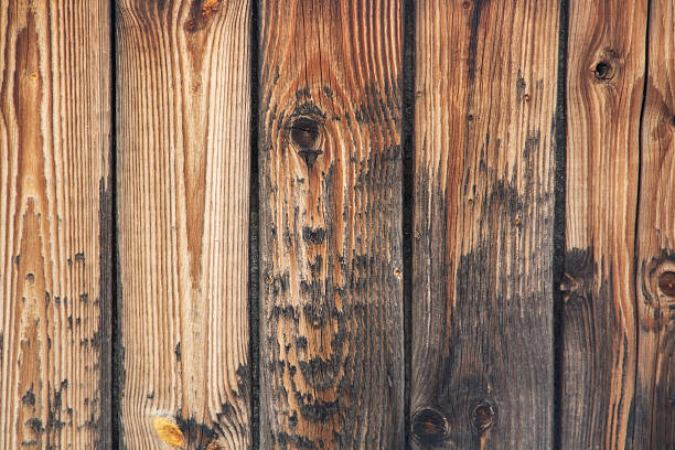 istock texture of old wood 509862660