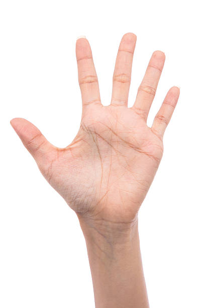 istock isolated hand shows the number five 509863031