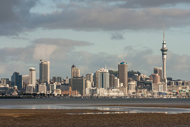 istock Auckland CBD at low tide 509864055