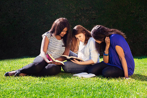 istock Three Friends Studying Together in Nature 509864759