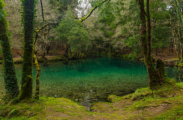 istock Scenic View Of River Flowing in the mountains 509864834