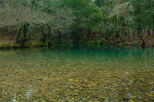 istock Scenic View Of River Flowing in the mountains 509864840