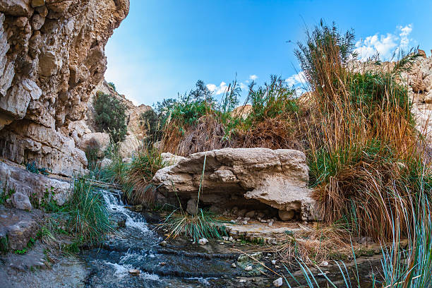istock Typical landscape of the Middle East 509865256