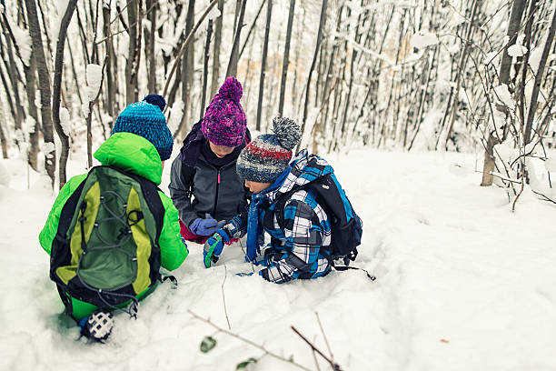 Kids observing animal tracks in winter forest